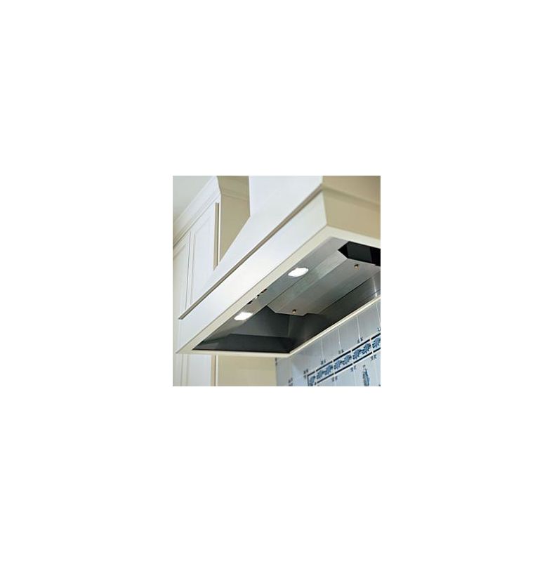 Vent-A-Hood BH240SLD SS Stainless Steel Vent-A-Hood BH240SLD 42 Inch BHSLD 600 CFM Wall Mounted Liner Insert with Dual B